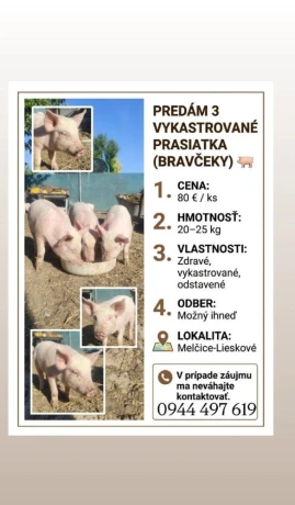 predam-bravcekov-big-0