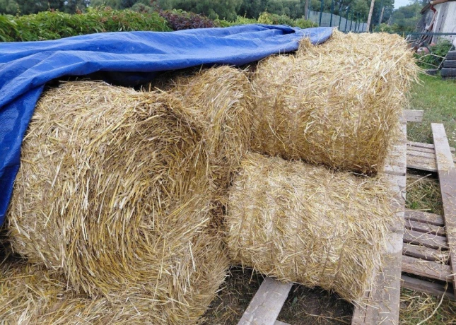 predam-slamu-slama-baliky-cca-25-kg-big-0