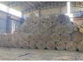 predam-seno-small-0