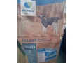 susene-mlieko-small-0