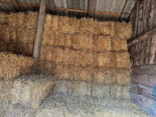 slama