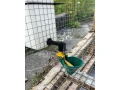 klietka-pre-prepelice-small-3