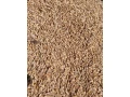 obilie-small-1