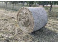 predam-seno-small-0
