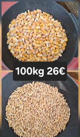 jacmen-psenica-big-0