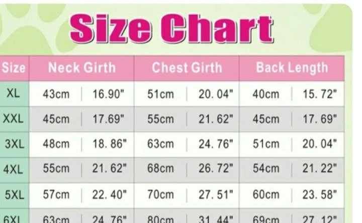 zimna-bunda-pre-psa-big-3