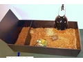 terarium-habistat-small-2