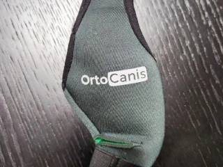 ortocanis