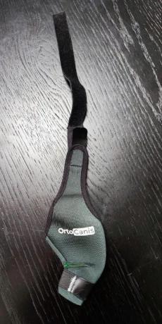 ortocanis-big-1