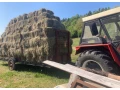 male-hranate-baliky-kocky-sena-small-1
