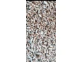 predam-psenicutritikale-jacmen-small-0