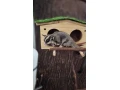 vakovevericky-small-1