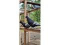 holuby-polsky-rys-small-4