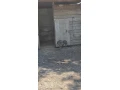 predam-emu-small-0