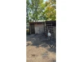 predam-emu-small-3