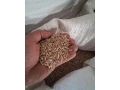 jacmen-small-0