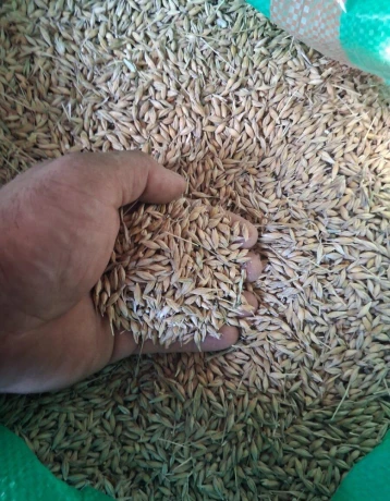 jacmen-big-1