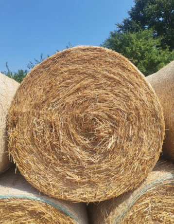 psenicna-slama-big-1