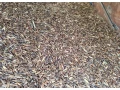 cierny-ovos-small-1