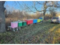 predam-vcelstva-small-1