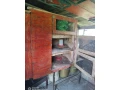 domcek-pre-prepelice-small-1