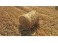 slama-small-1