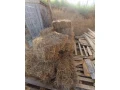 predam-slamu-small-0