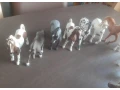 schleich-kone-a-pony-3eks-small-3