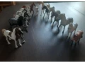 schleich-kone-a-pony-3eks-small-2