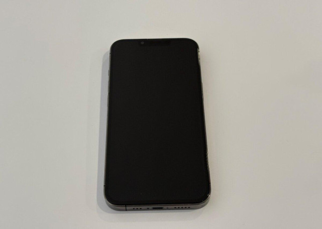 iphone-13-pro-sivy-256gb-big-1