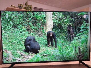 predam-4k-ultra-hd-smart-tv-sencor-sle-50us800tcsb