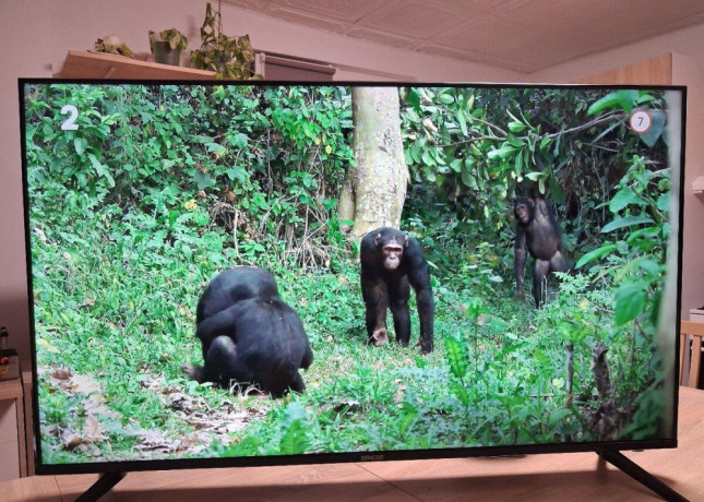 predam-4k-ultra-hd-smart-tv-sencor-sle-50us800tcsb-big-0