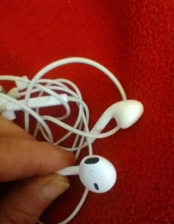apple-big-2