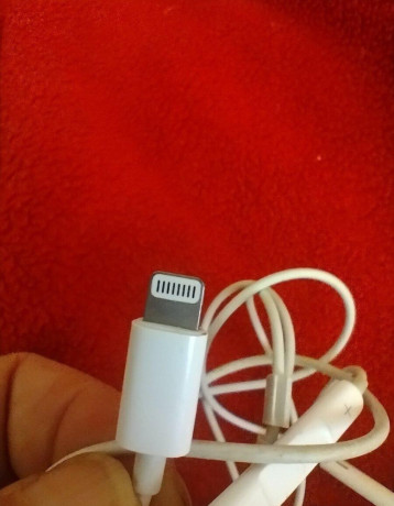 apple-big-0