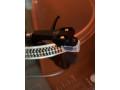 gramo-prenoska-audiotecnika-at-xp3-small-1