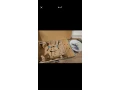 vysavac-small-3