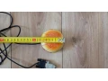 hamburgerova-mys-small-4