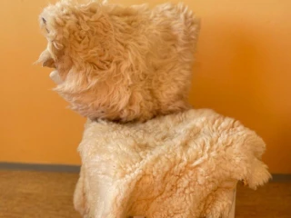 kozusinky