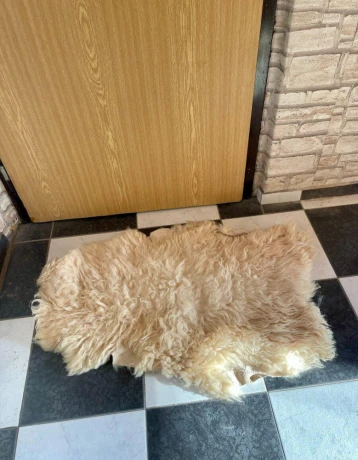 kozusinky-big-1