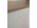 moderna-obyvacia-zostava-dub-sonoma-biela-leskla-small-2