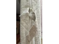 matrac-80cm-small-3