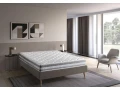 novy-small-2