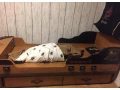 piratska-postel-black-pirate-cilek-pristelka-small-1