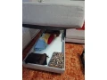 predam-sedacku-small-0