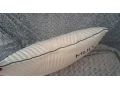 vankus-small-1