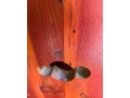 rustikalne-drevene-stolicky-2-ks-small-2