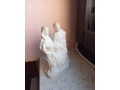 svata-rodina-small-2