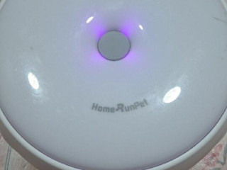home-run-pet-pre-macky