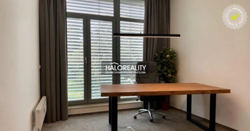 halo-reality-big-4