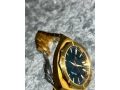 paul-rich-zlate-hodinky-small-4